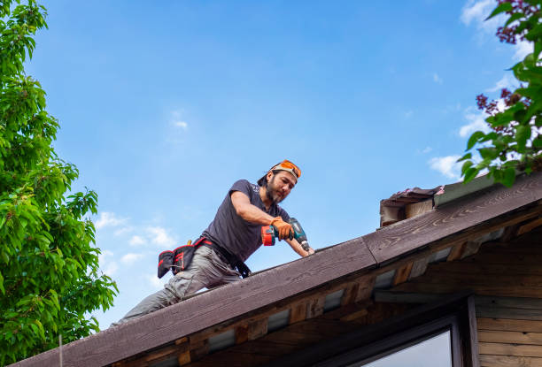 Best Asphalt Shingle Roofing  in Castlewood, VA